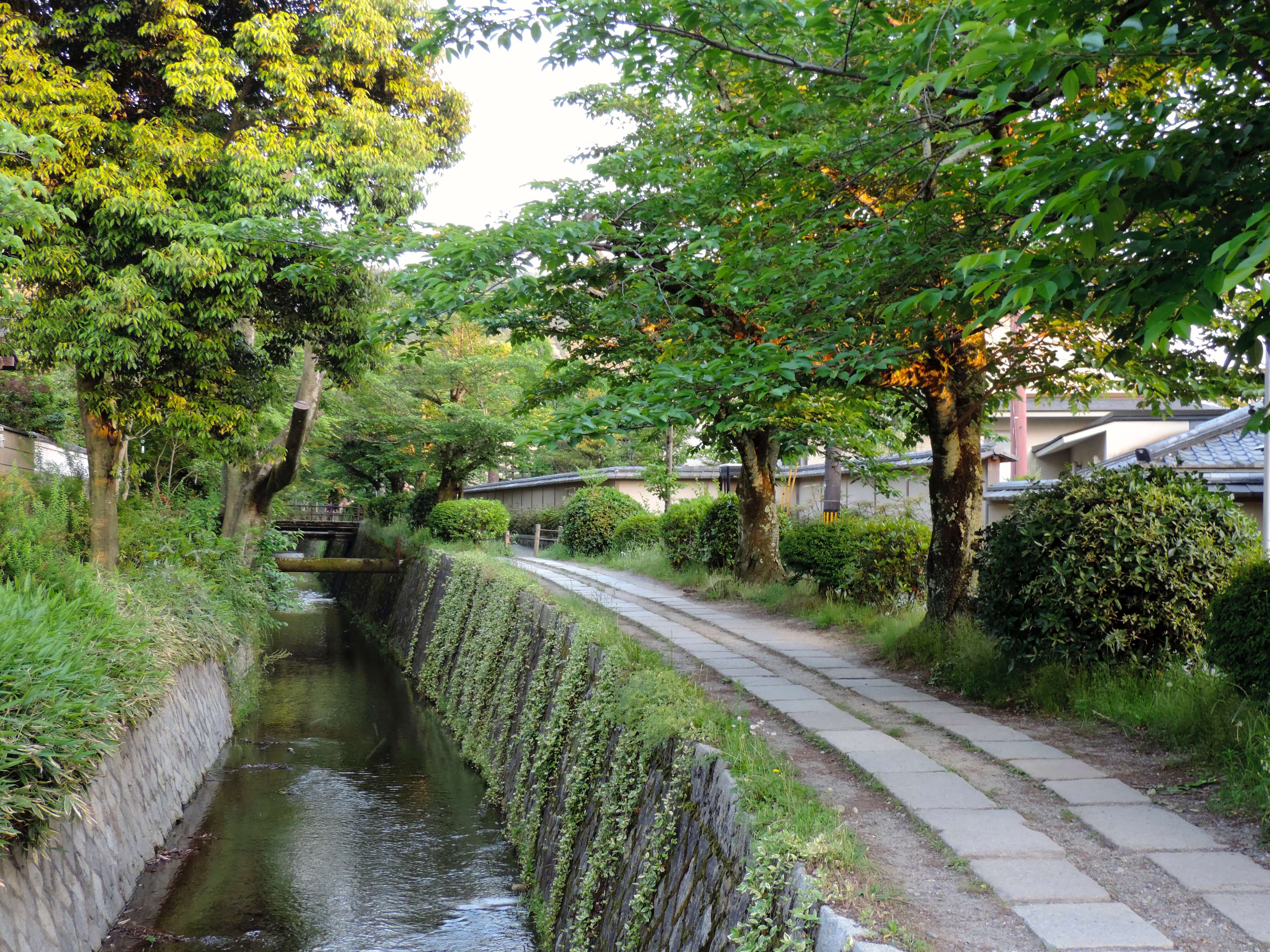 Philosopher's Path - Kyoto Travel